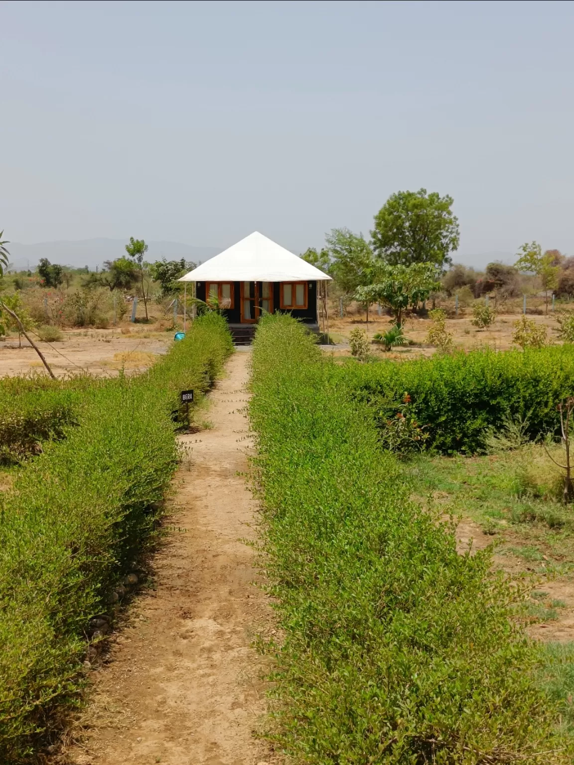 Photo of Thour Nature Resorts - Jawai Leopard Safari Camp Jawai Bandh By Tejas Modi