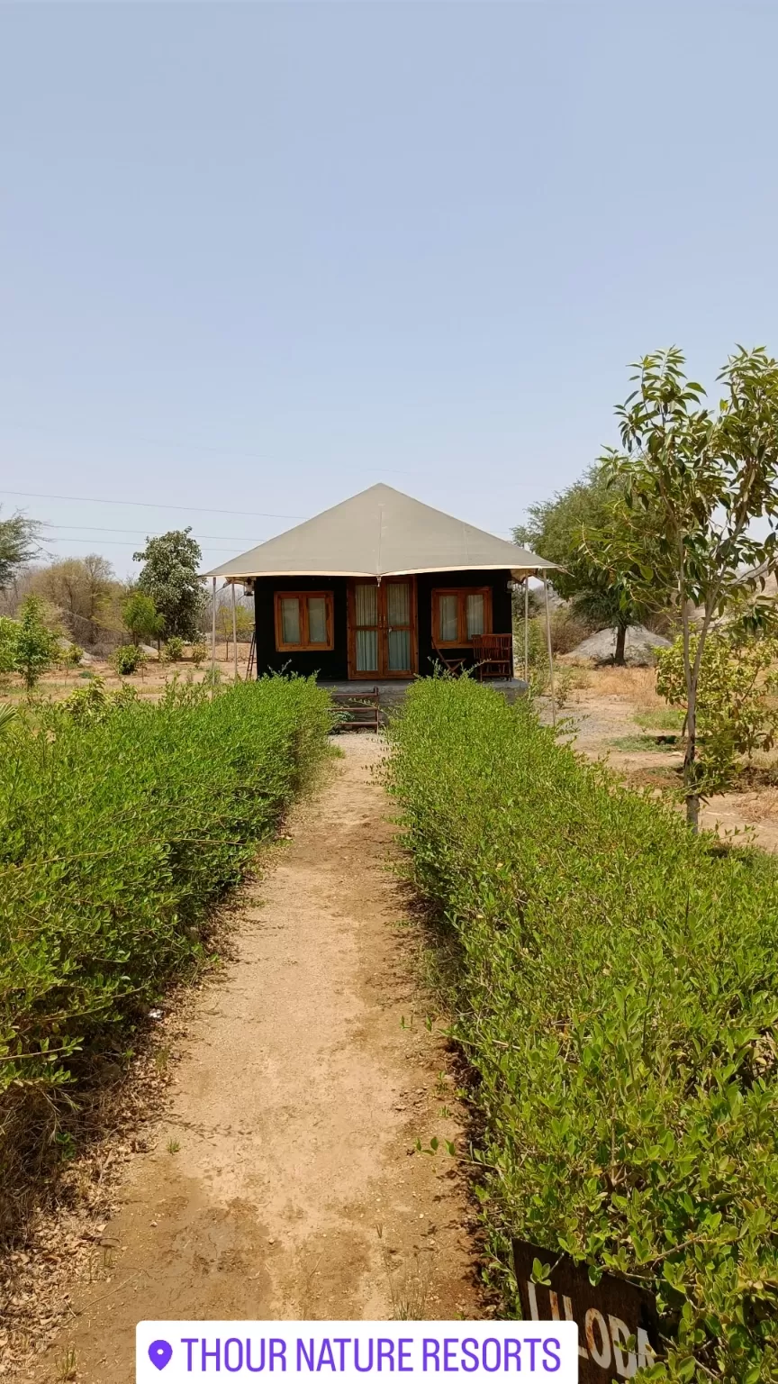 Photo of Thour Nature Resorts - Jawai Leopard Safari Camp Jawai Bandh By Tejas Modi