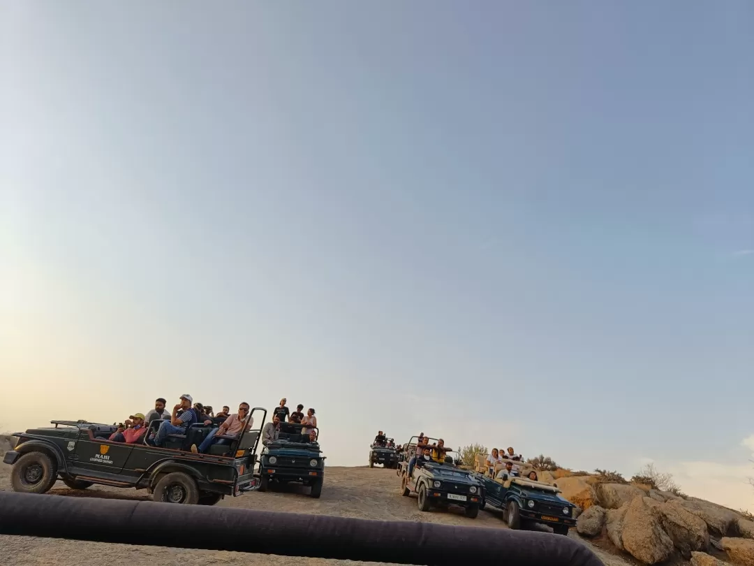 Photo of Jawai Leopard Safari By Tejas Modi