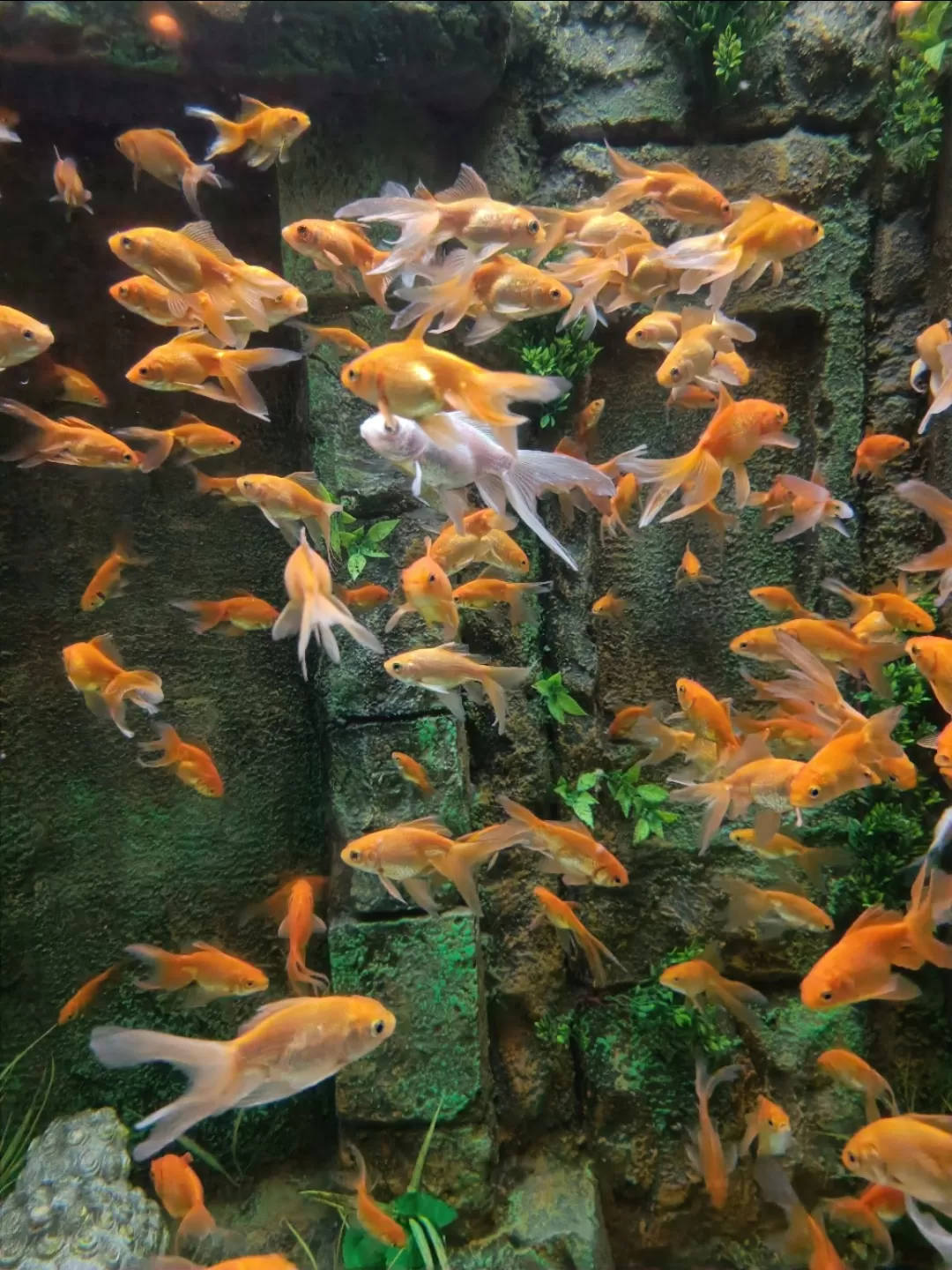 Photo of Aquatic Gallery-Science City By Tejas Modi