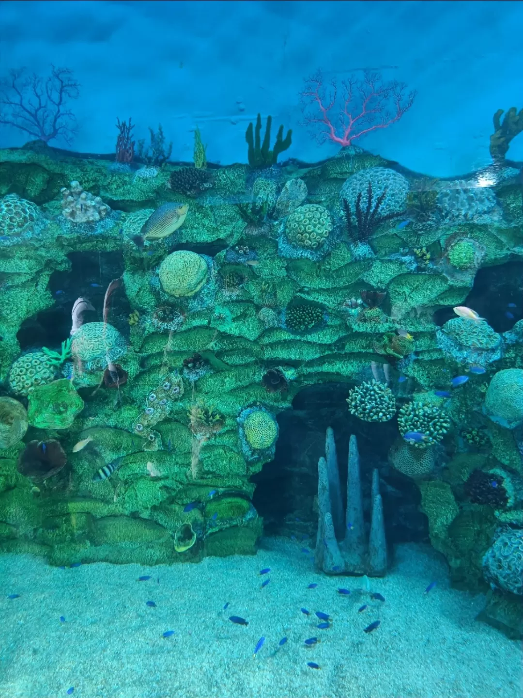 Photo of Aquatic Gallery-Science City By Tejas Modi