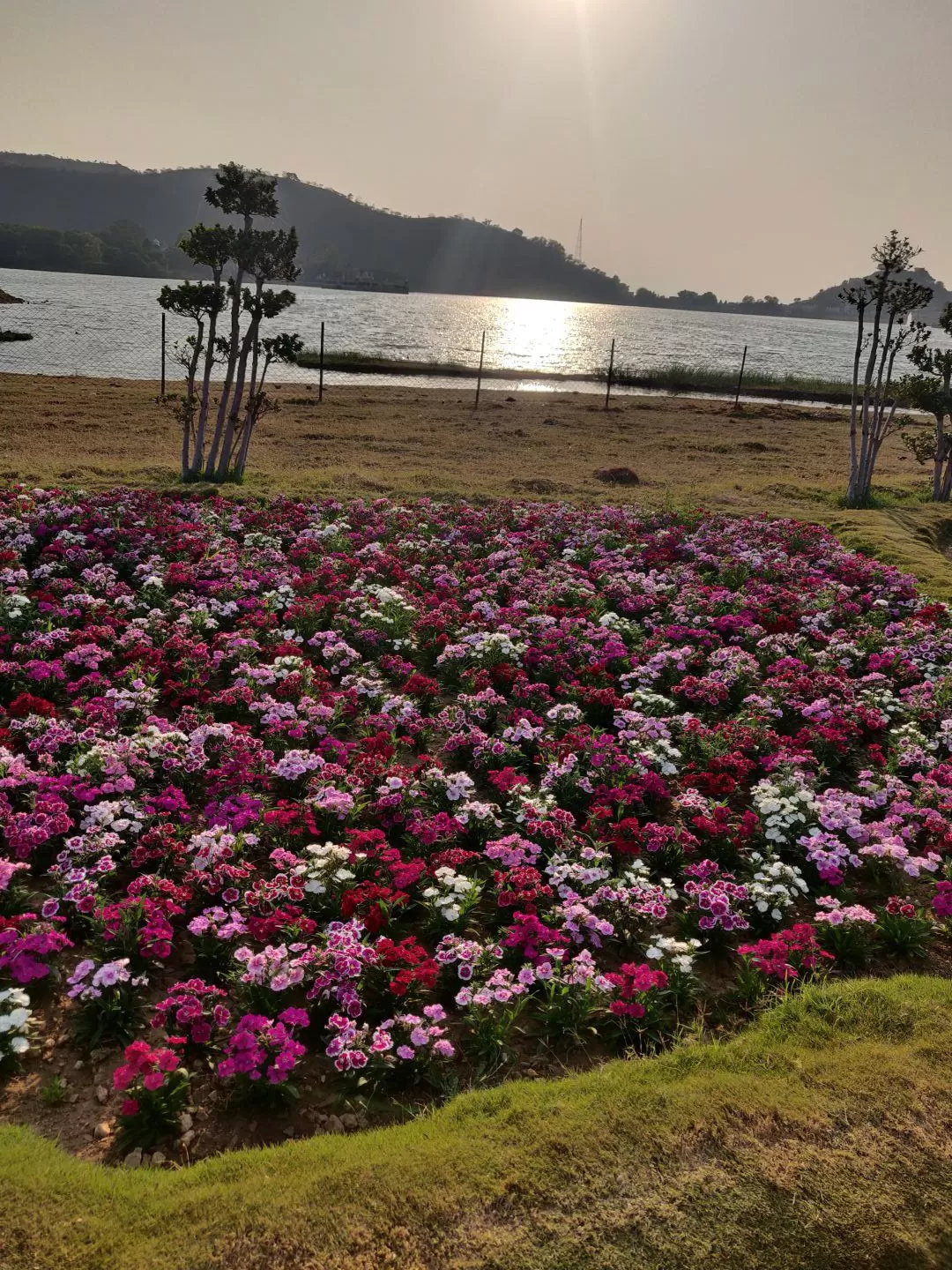 Photo of Bird sanctuary park and flower Garden By Tejas Modi