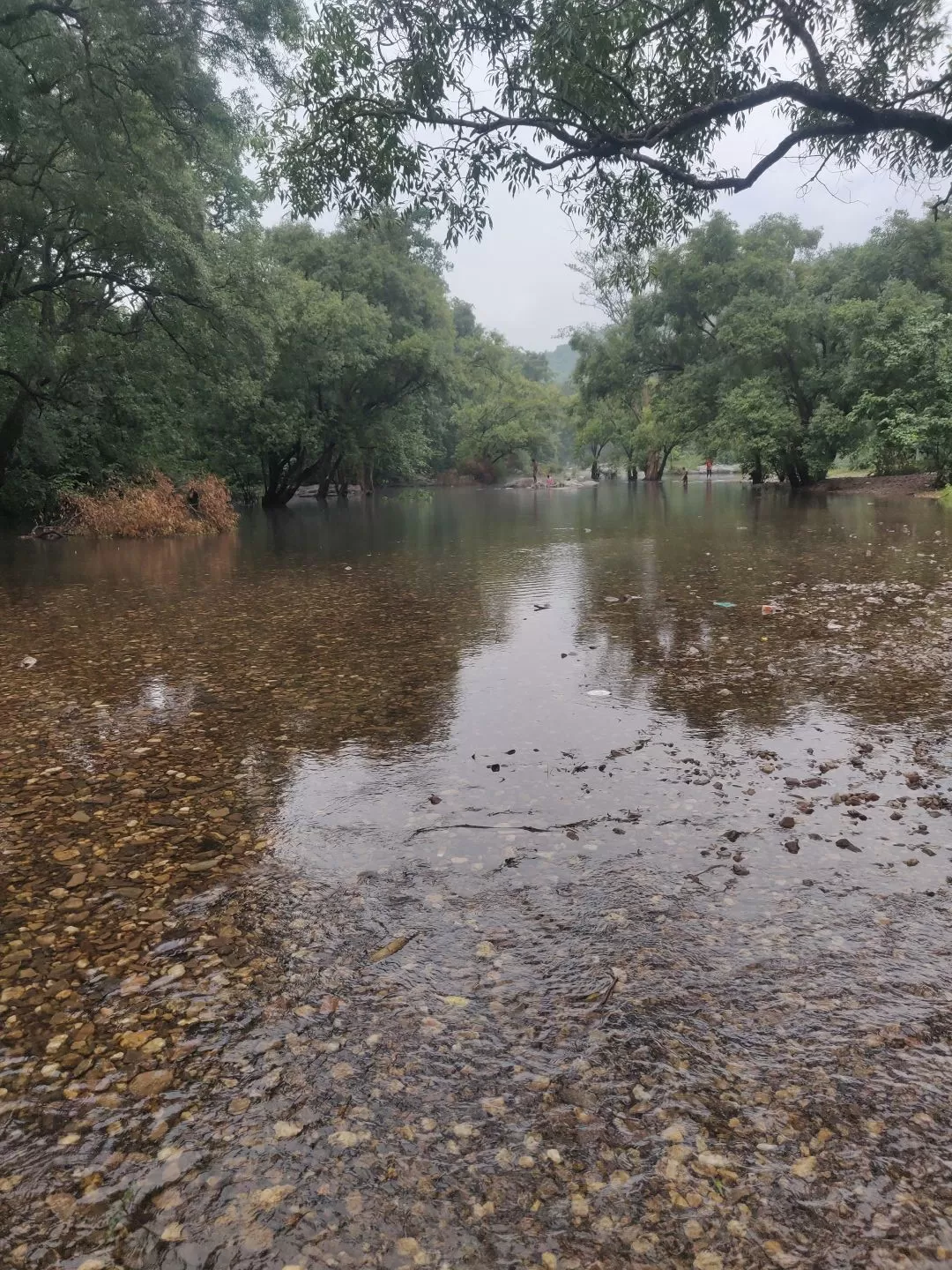 Photo of Polo Forest By Tejas Modi