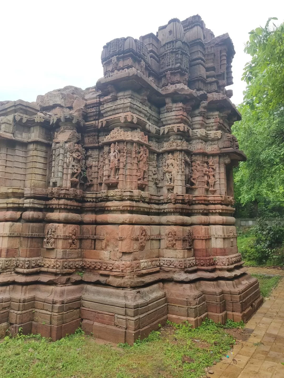 Photo of Polo Forest By Tejas Modi