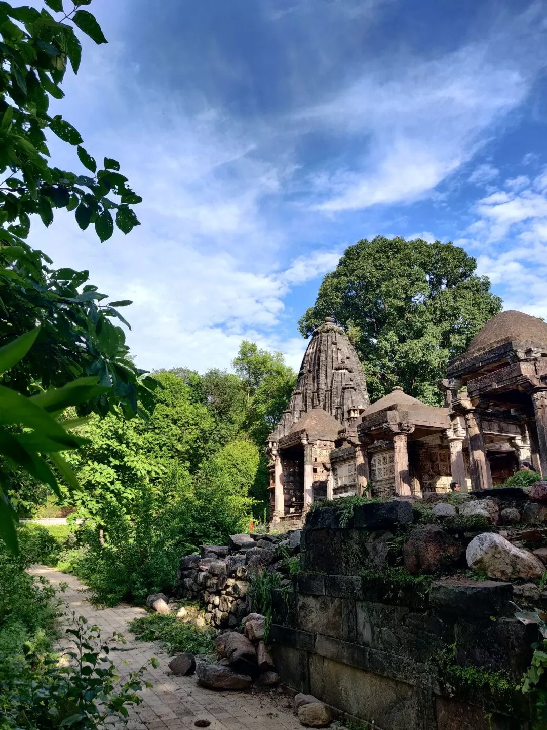 Photo of Polo Forest By Tejas Modi