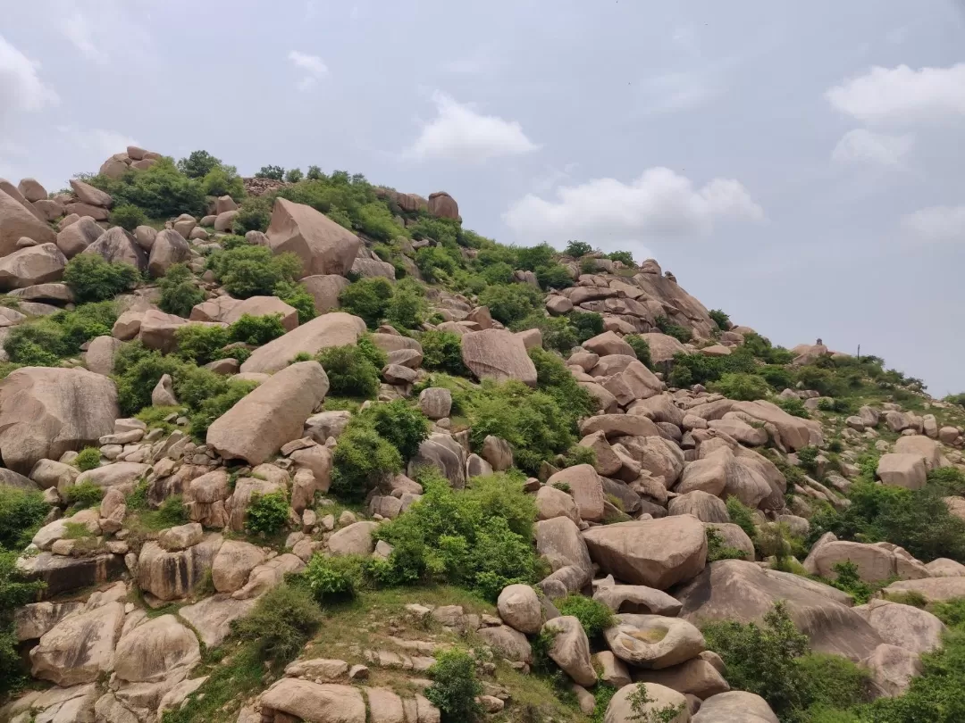 Photo of Idariyo Gadh By Tejas Modi