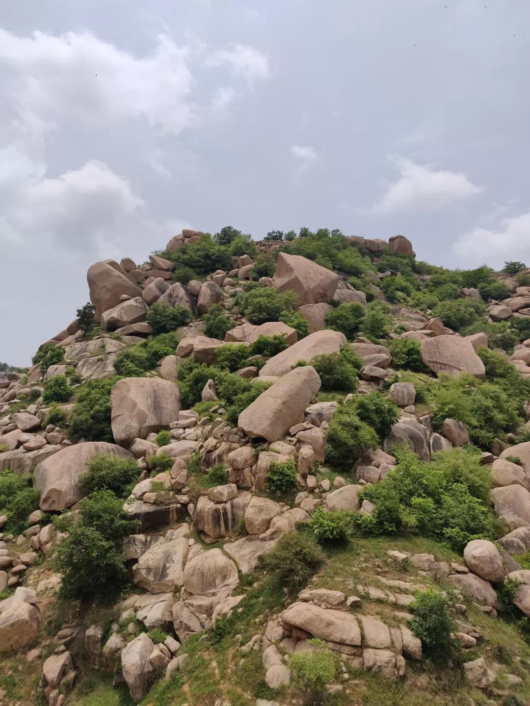 Photo of Idariyo Gadh By Tejas Modi