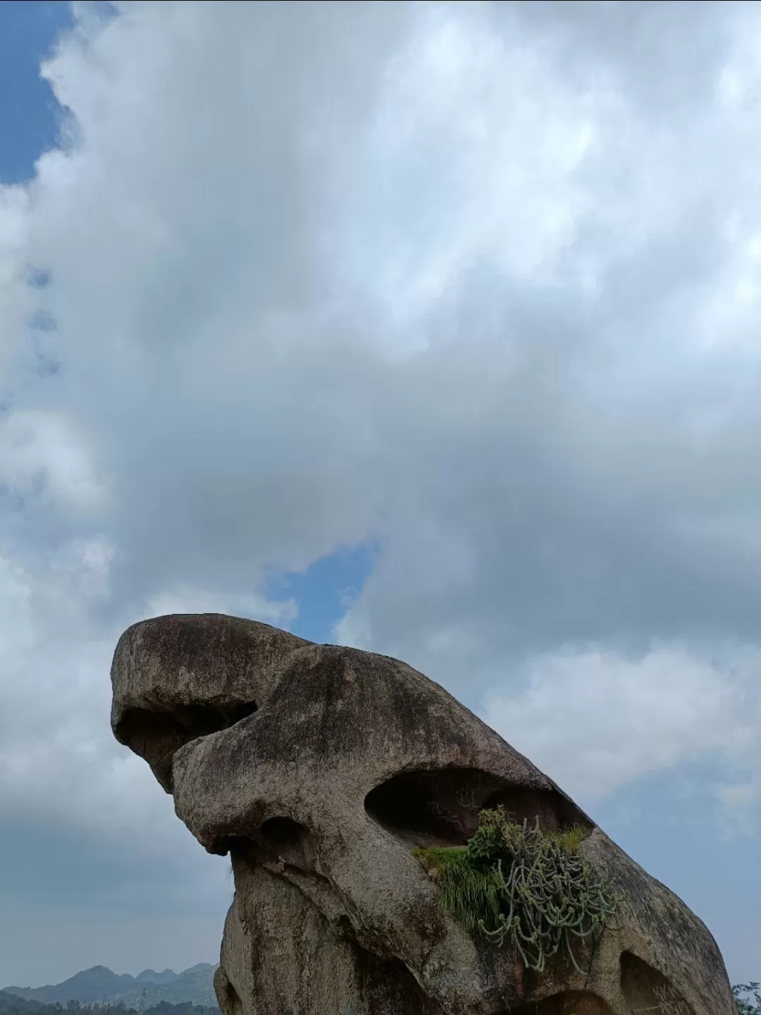 Photo of Toad Rock By Tejas Modi