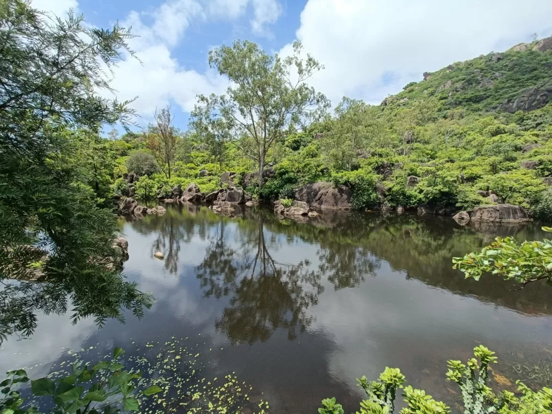 Photo of Mount Abu By Tejas Modi