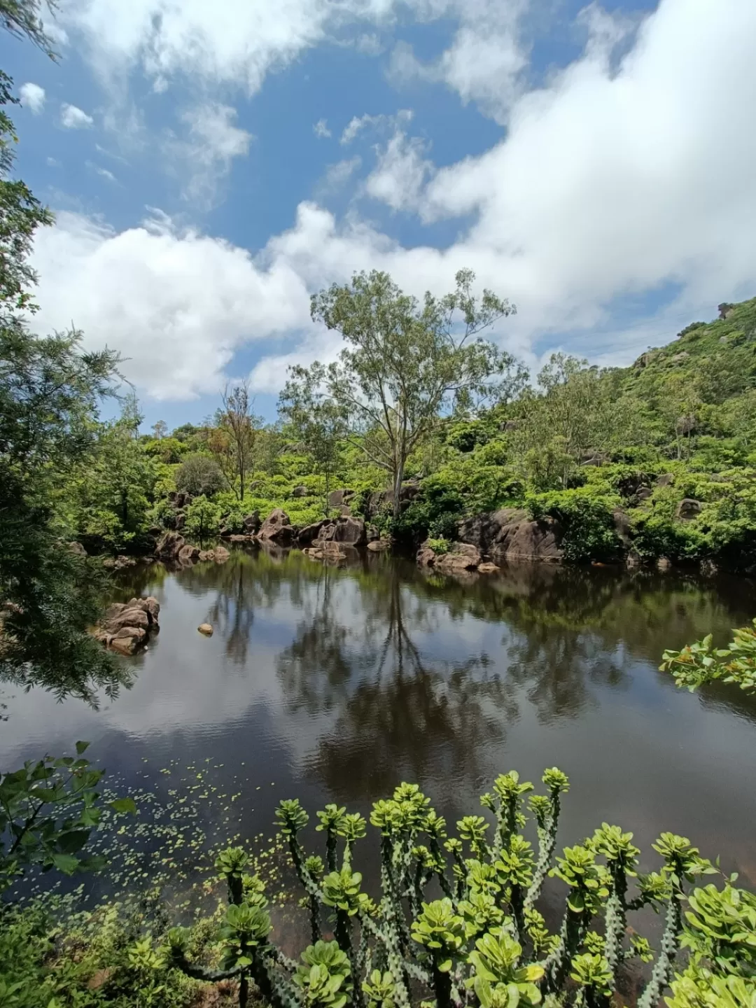 Photo of Mount Abu By Tejas Modi