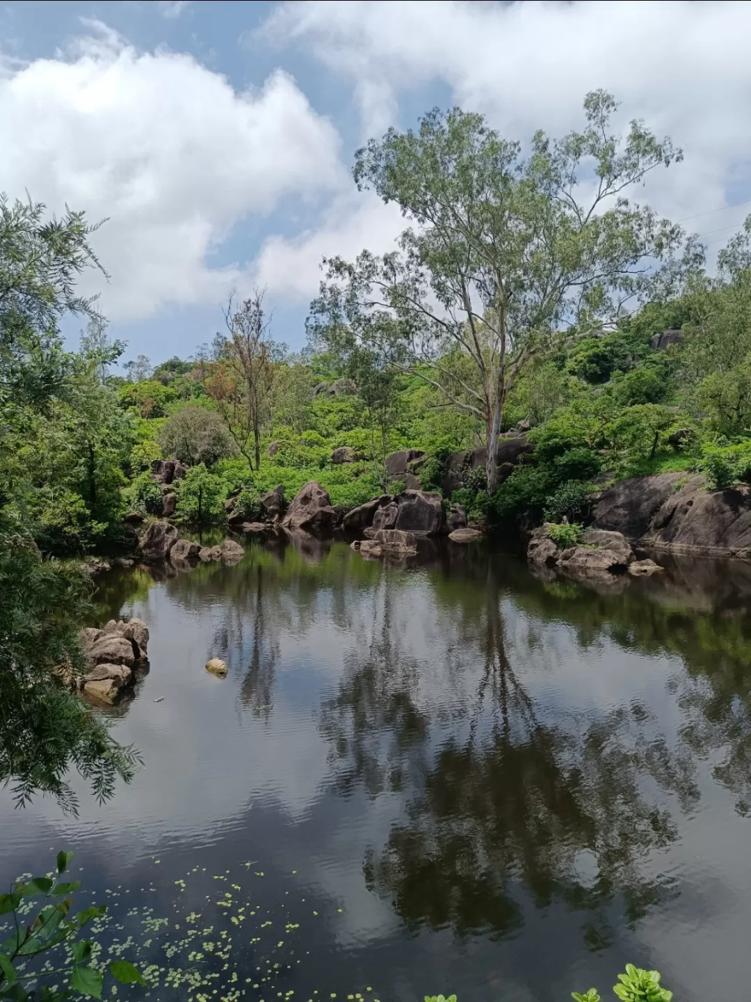 Photo of Mount Abu By Tejas Modi