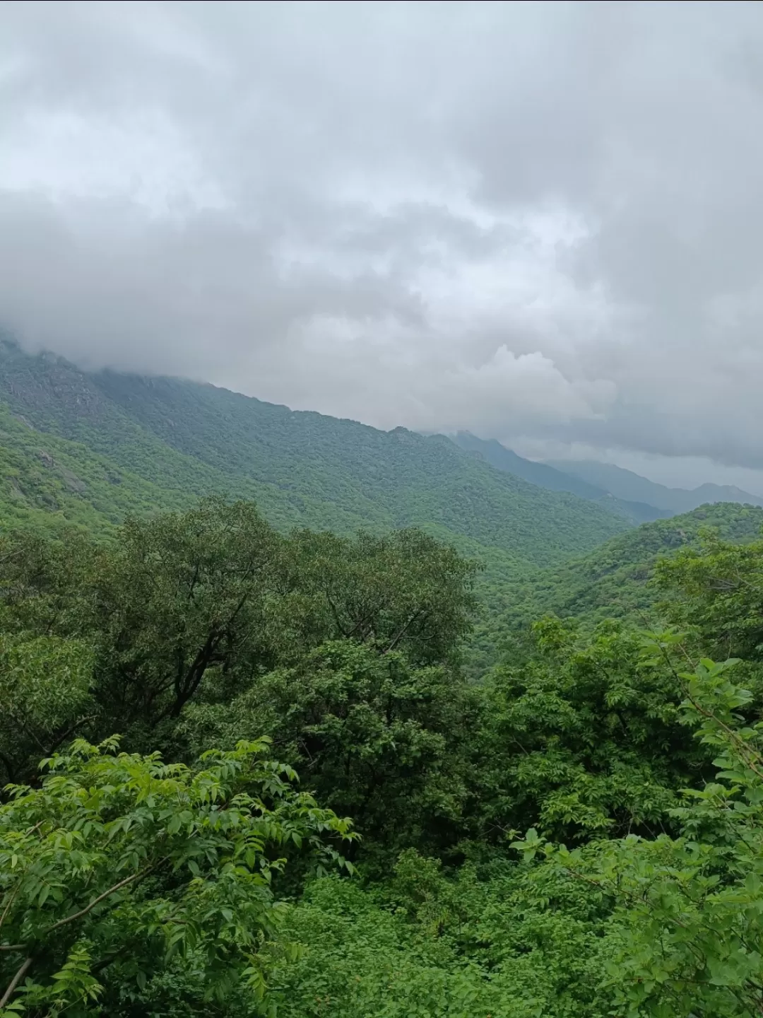 Photo of Mount Abu Wildlife Sanctuary By Tejas Modi