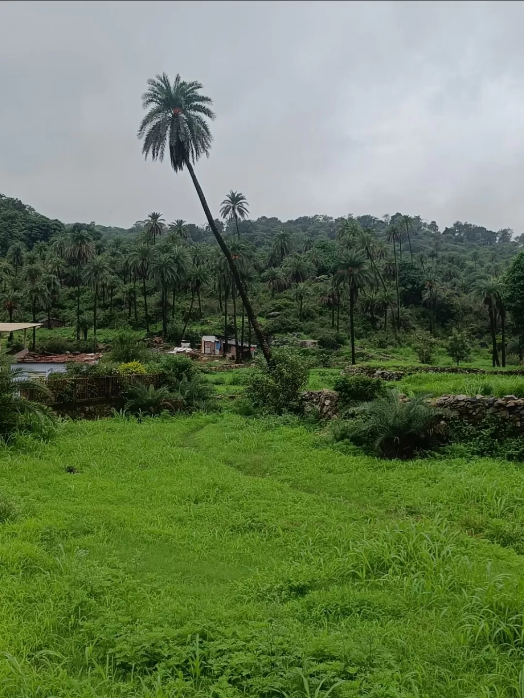 Photo of Mount Abu Wildlife Sanctuary By Tejas Modi