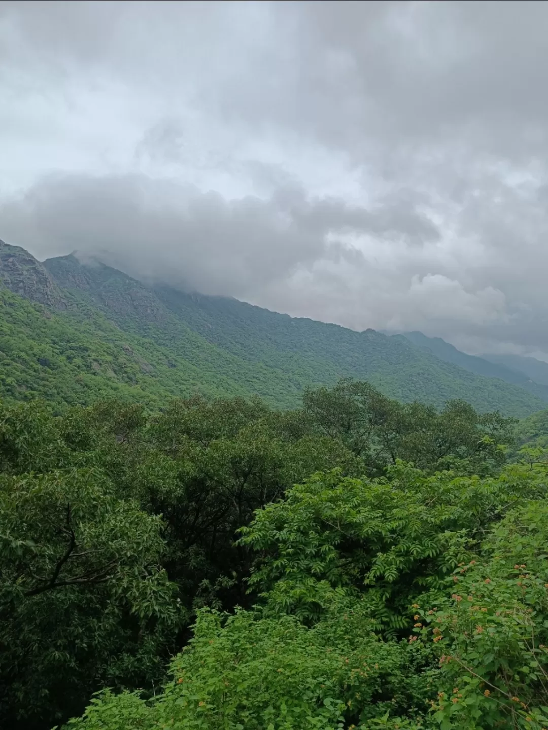 Photo of Mount Abu Wildlife Sanctuary By Tejas Modi