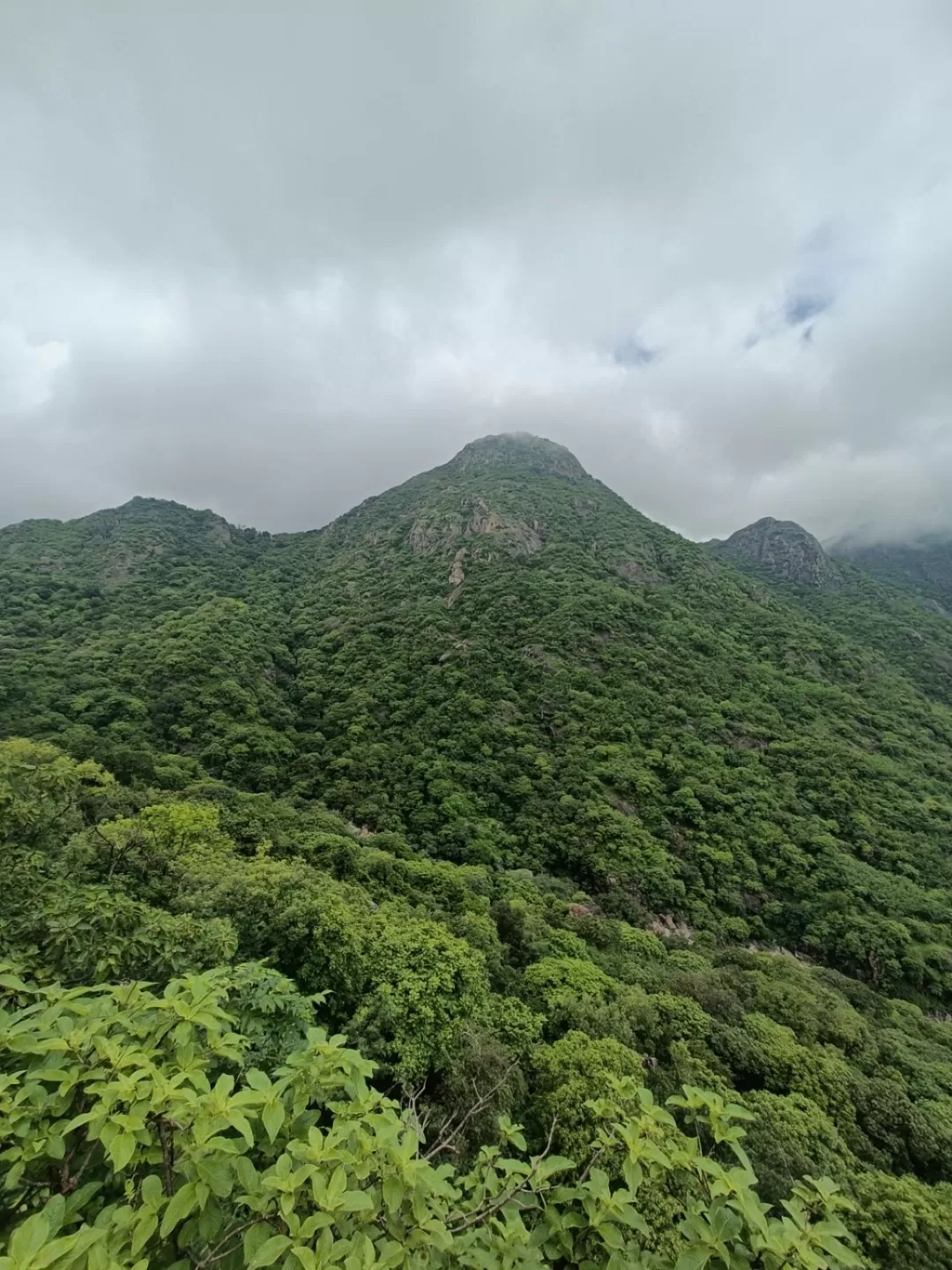 Photo of Mount Abu Wildlife Sanctuary By Tejas Modi