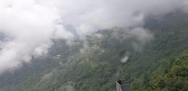 Photo of Temi Tea Estate By Pankaj Biswas (akash)