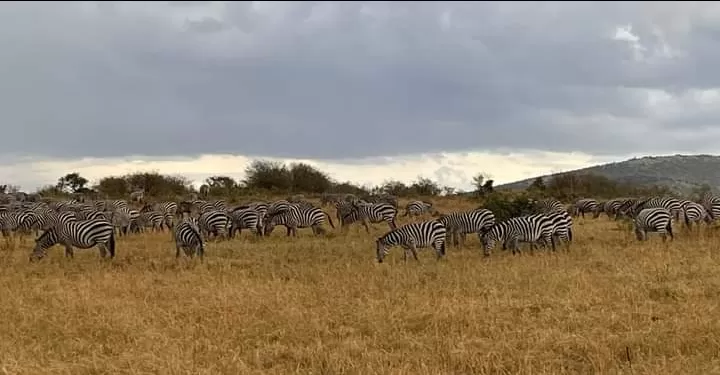 Photo of Masai Mara National Reserve By Pankaj Biswas (akash)