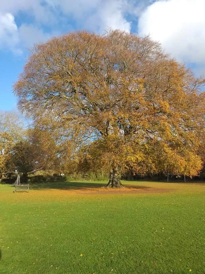 Photo of England By Pankaj Biswas (akash)