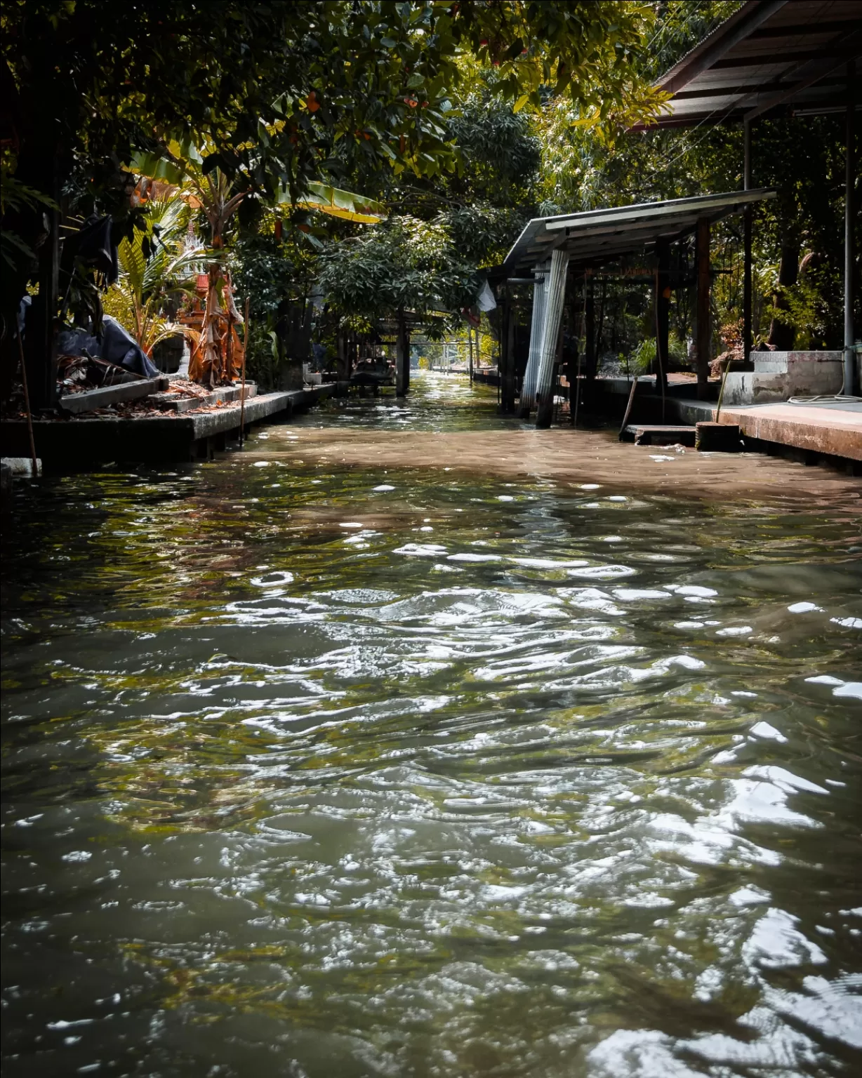 Photo of Damnoen Saduak Floating Market By MAYANK PATEL