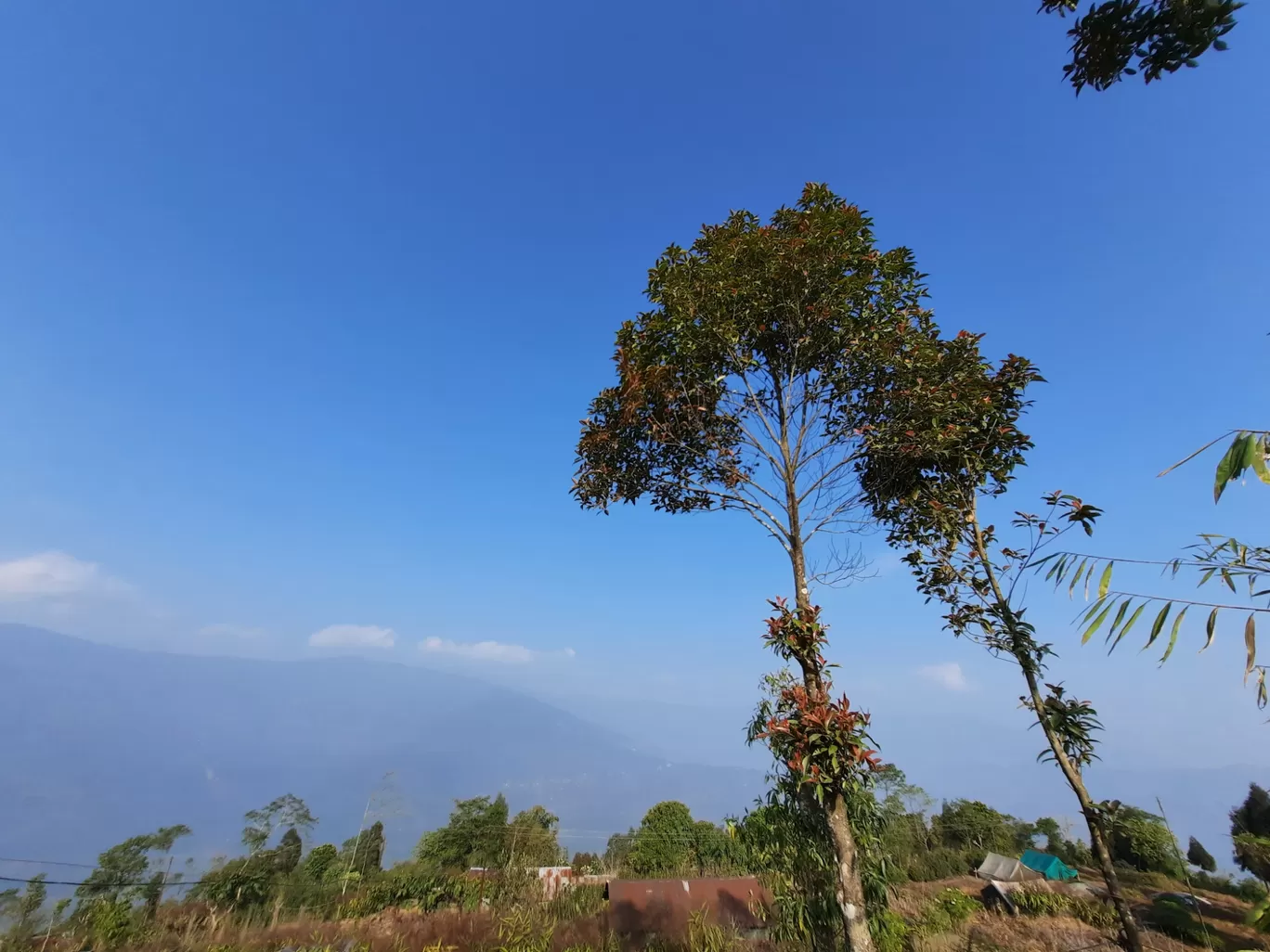 Photo of Ahaldara View Point By Udita Acharya