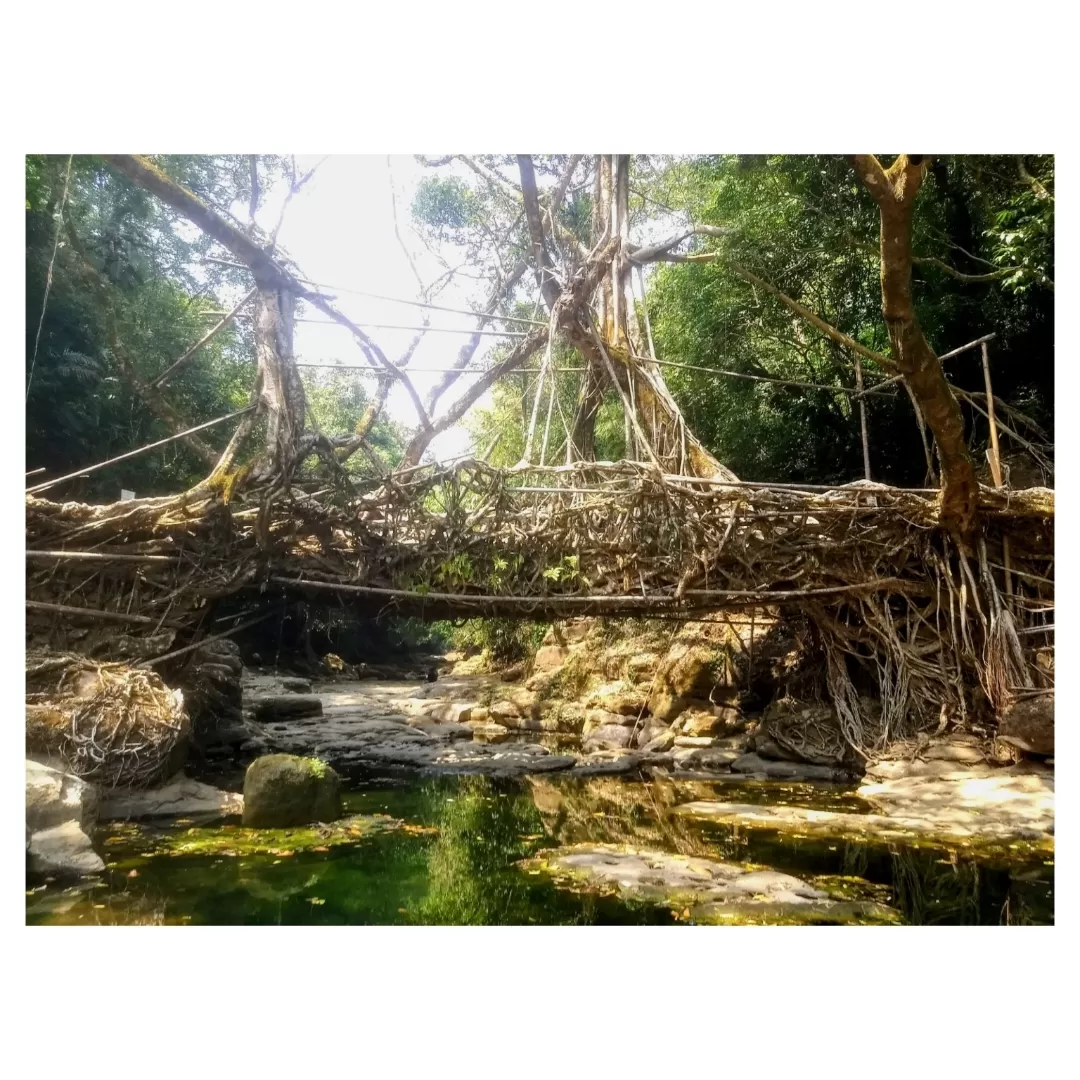 Photo of Meghalaya By Udita Acharya