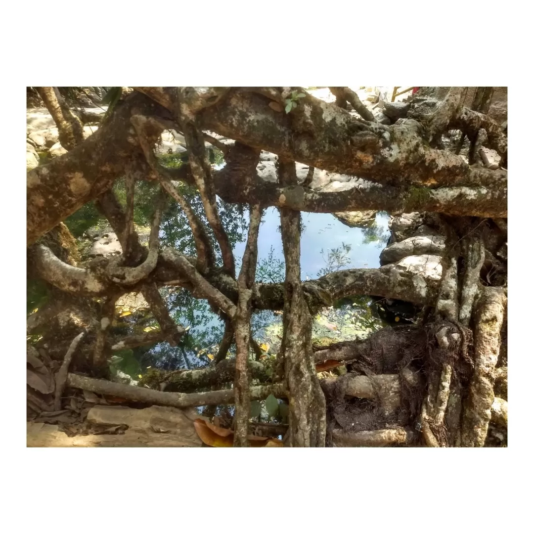 Photo of Meghalaya By Udita Acharya