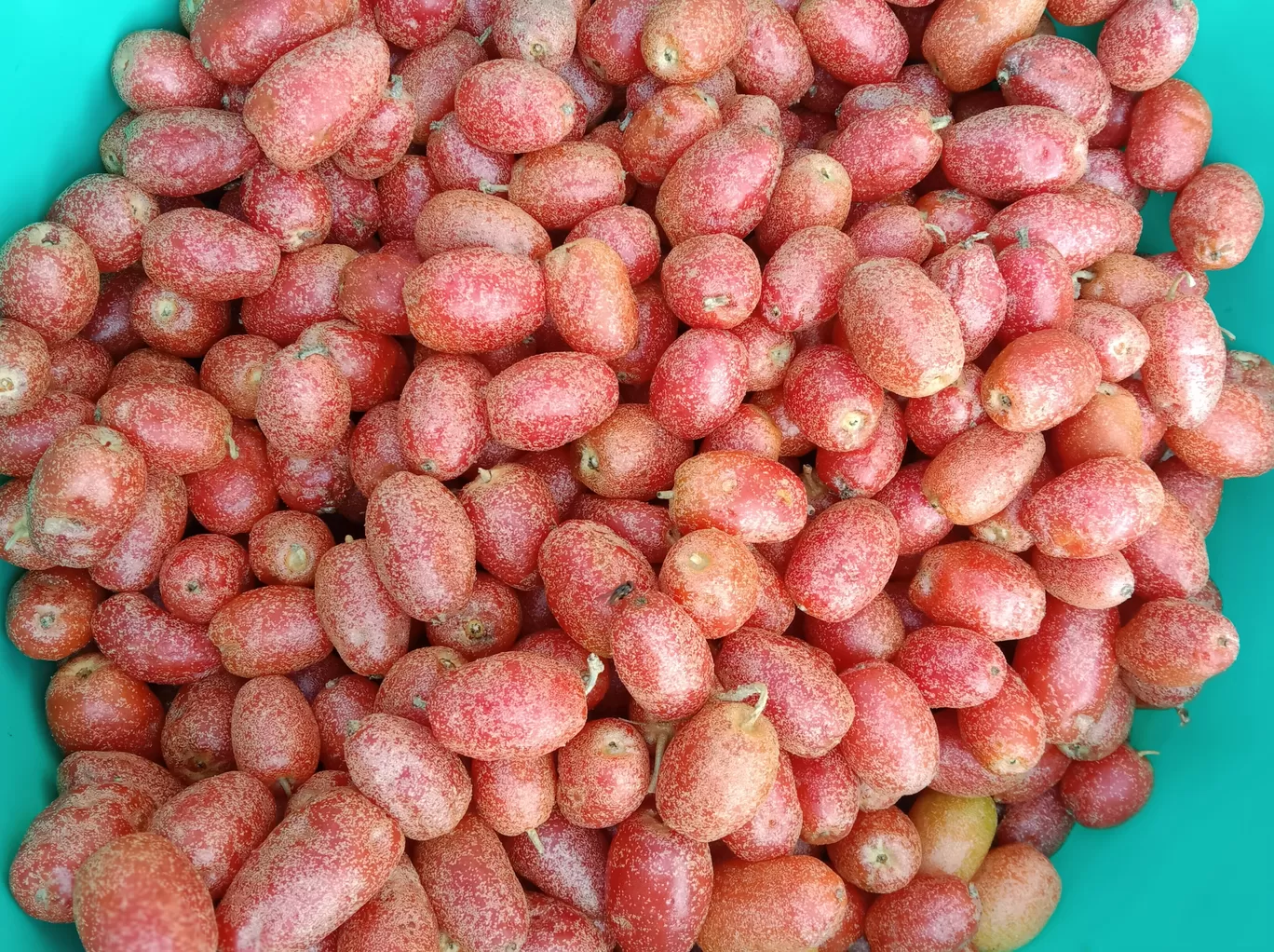 Photo of Zokhawthar Border Trade By sumiTRAVELogs