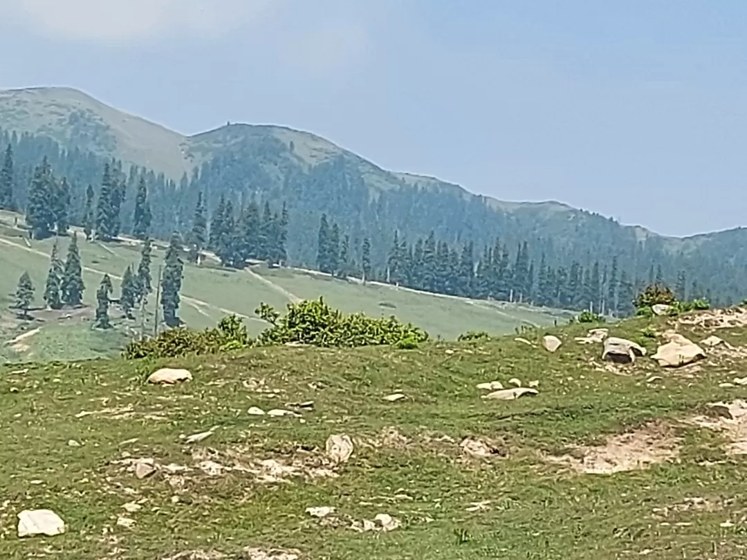 Photo of Gulmarg By Rupi