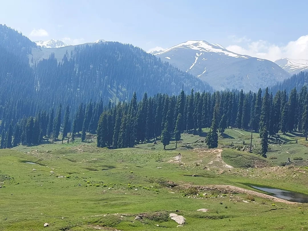 Photo of Gulmarg By Rupi