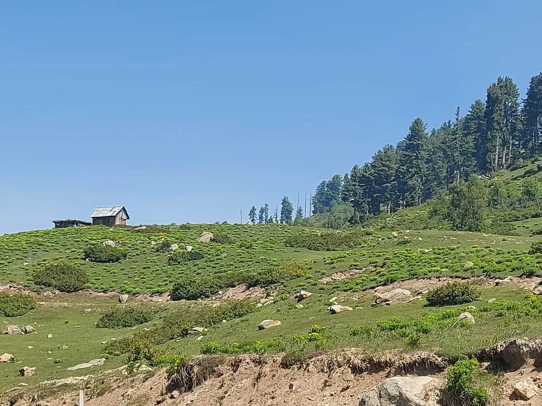 Photo of Gulmarg By Rupi