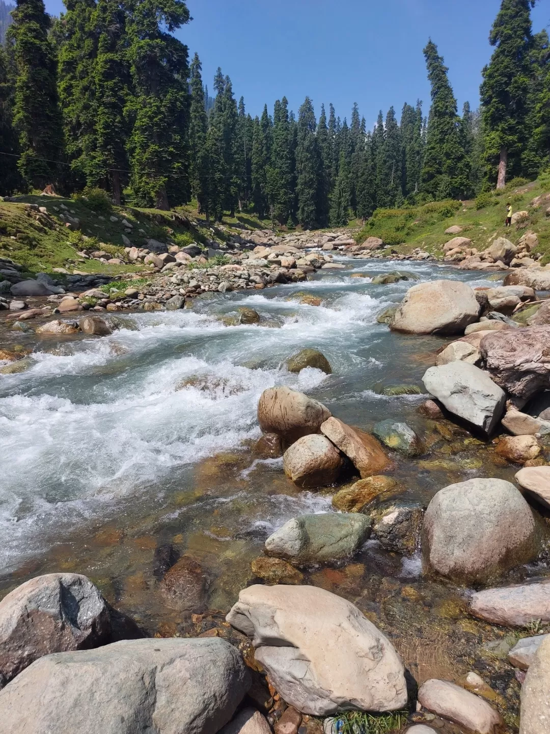 Photo of Gulmarg By Rupi