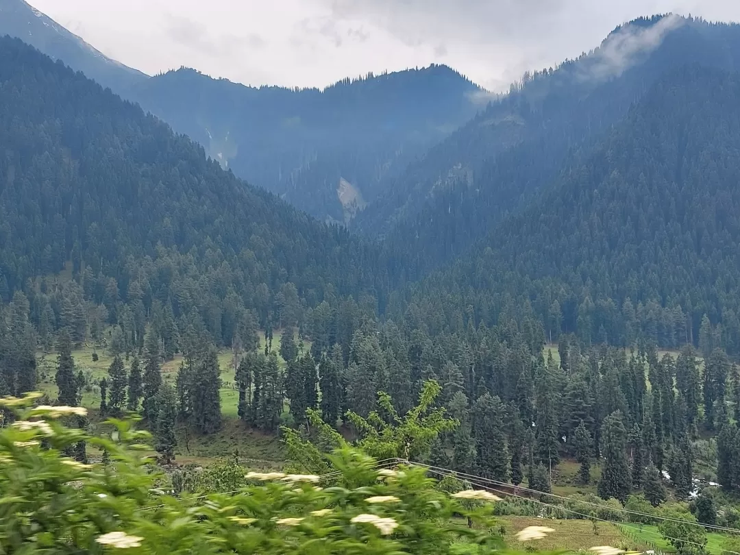 Photo of Pahalgam By Rupi