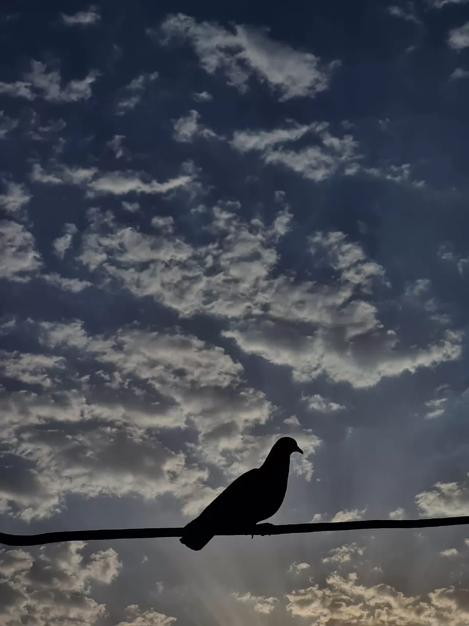 Photo of Tonk By Aman Tasera