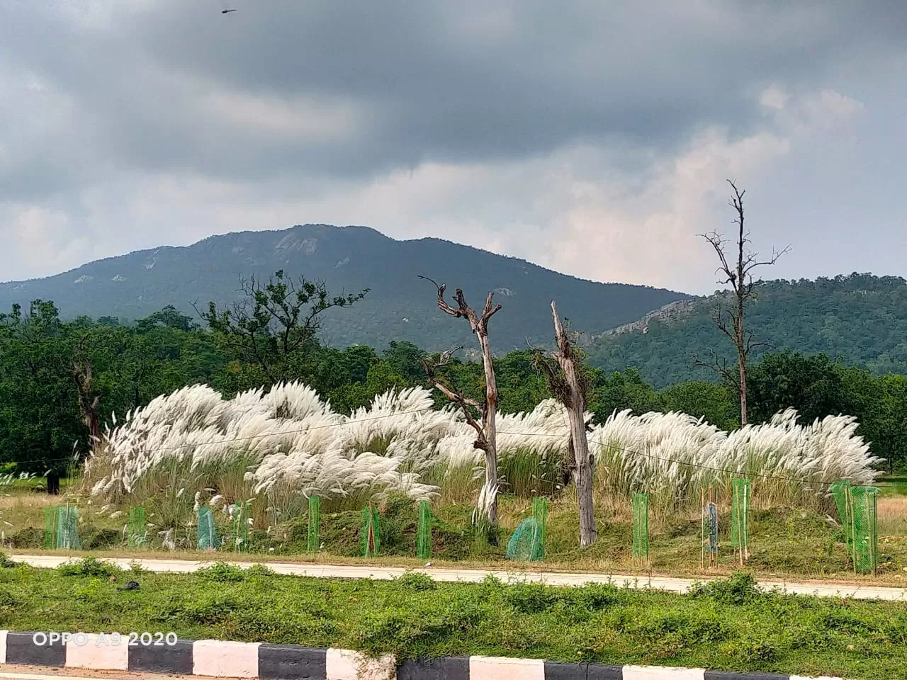 Photo of Deogarh By Pritam basudev