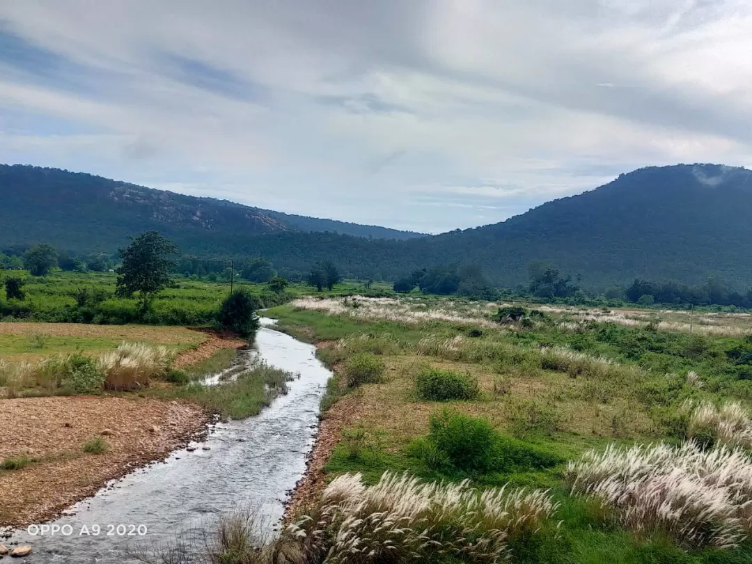 Photo of Deogarh By Pritam basudev