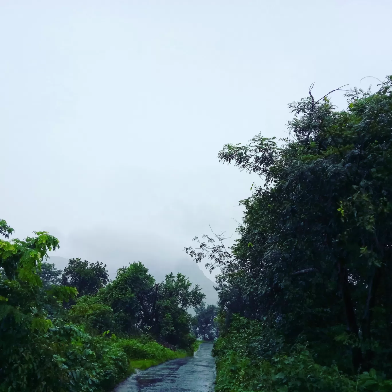 Photo of India By Sandeep yadav
