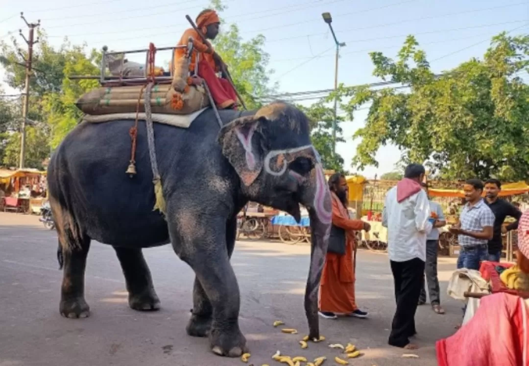 Photo of Prayagraj By Abhay Chaubey