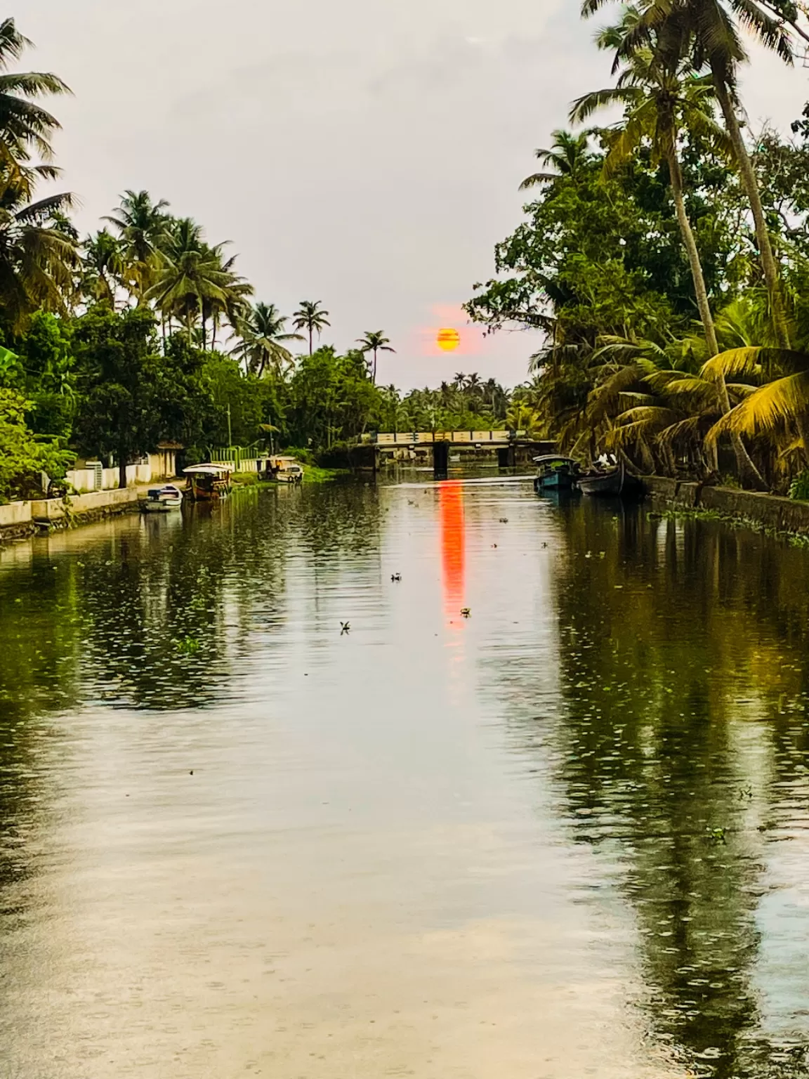 Photo of Kerala By Mitali Kadu