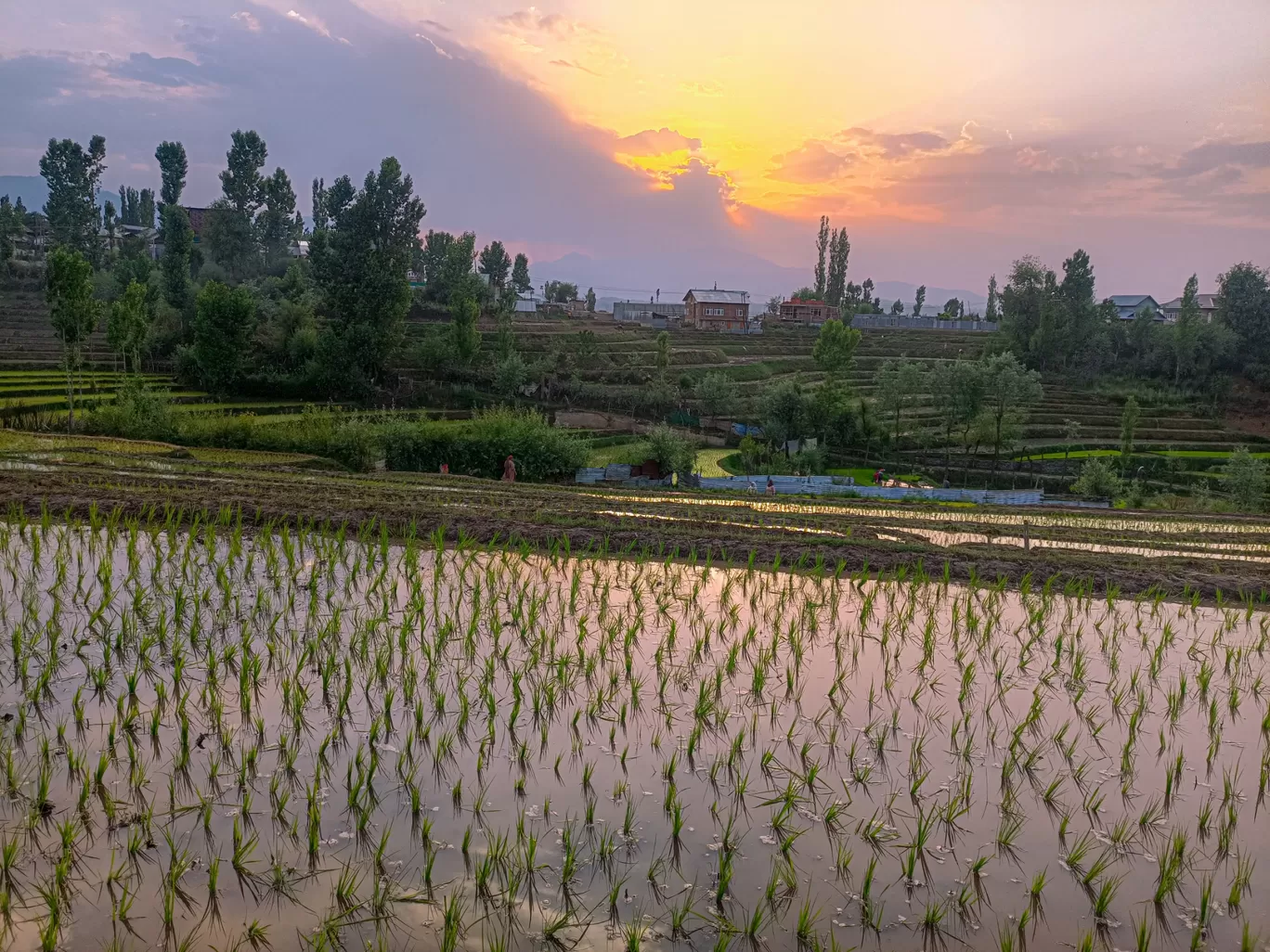 Photo of Unnamed Road By Anaam Farooq