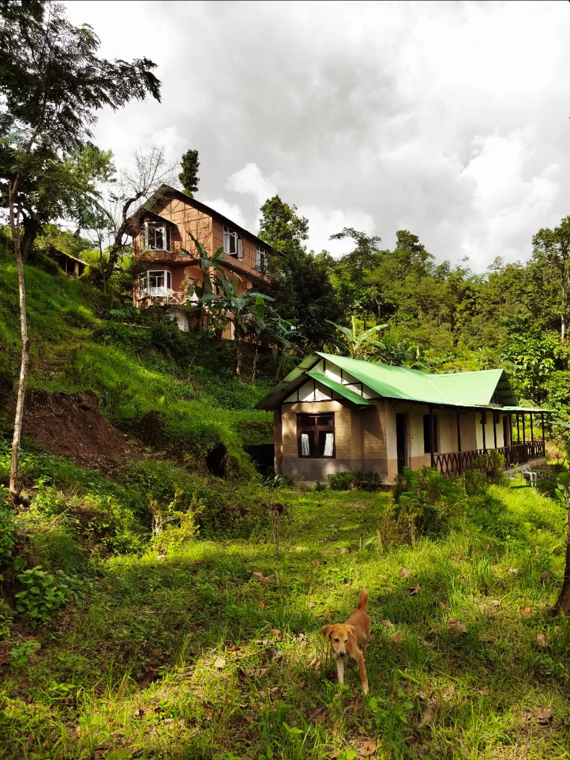 Photo of Kalimpong Village Retreat By Sejal Gupta