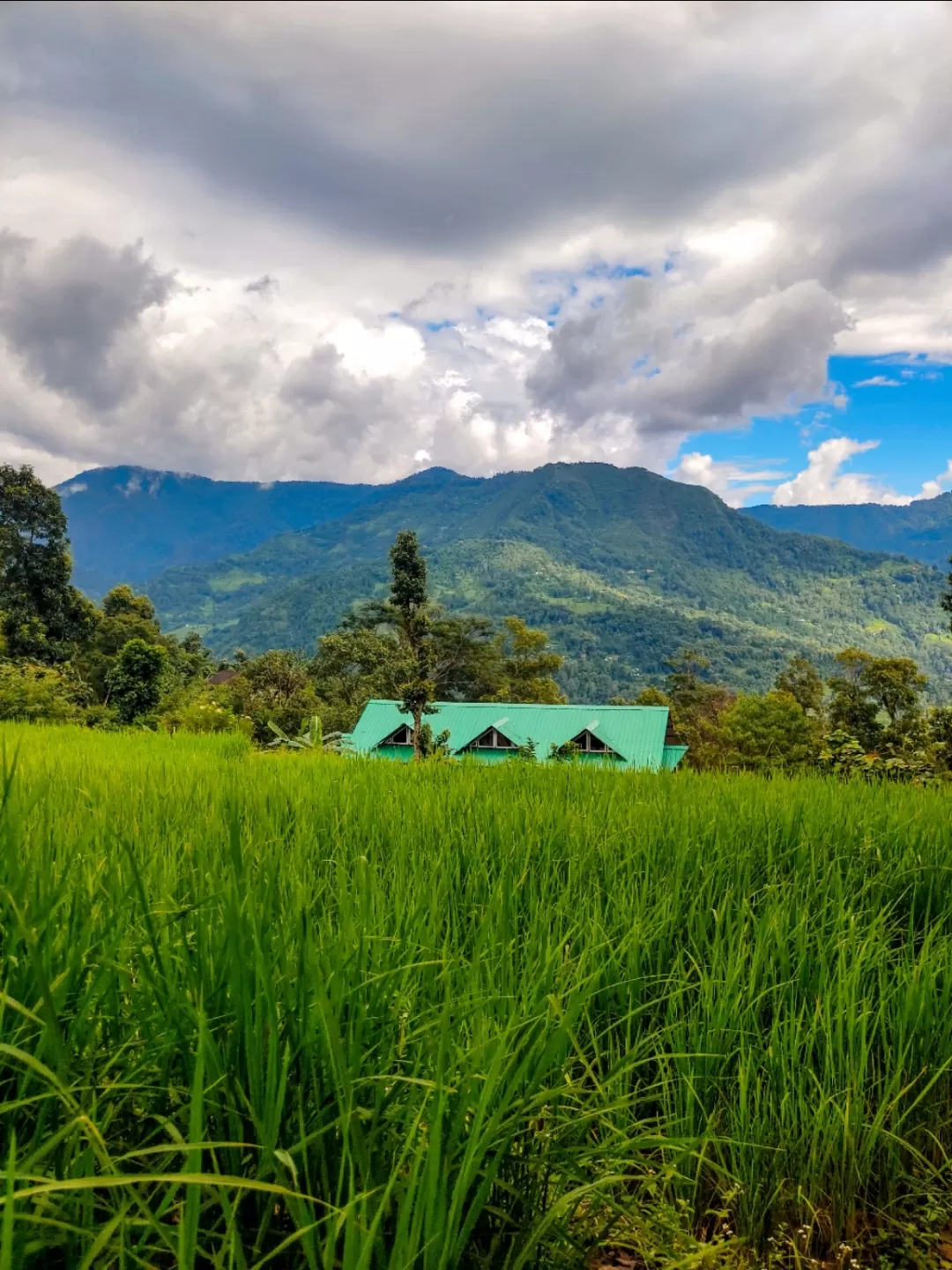 Photo of Kalimpong Village Retreat By Sejal Gupta