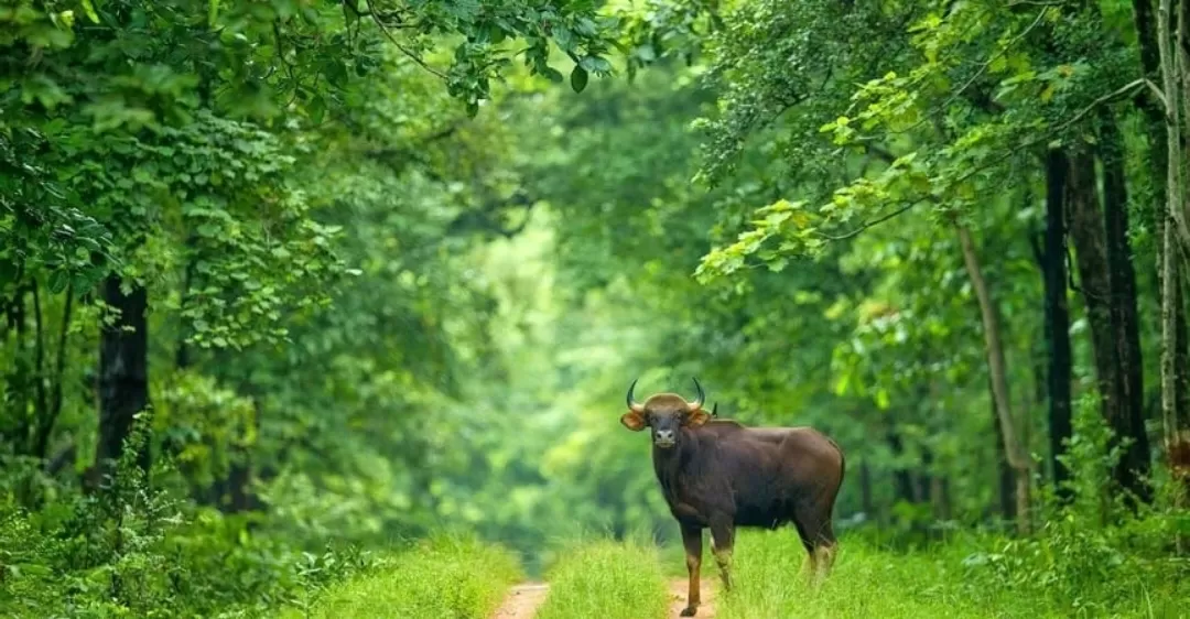 Photo of Chhattisgarh By Rudra Pratap Sahu