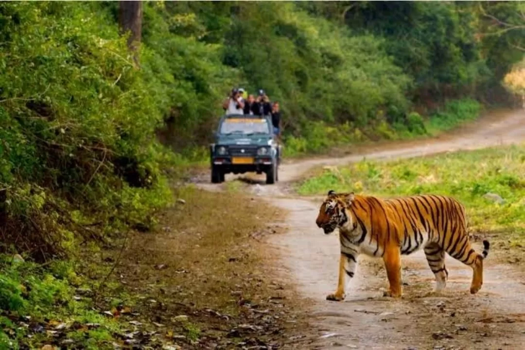 Photo of Achanakmar Wildlife Sanctuary By Rudra Pratap Sahu