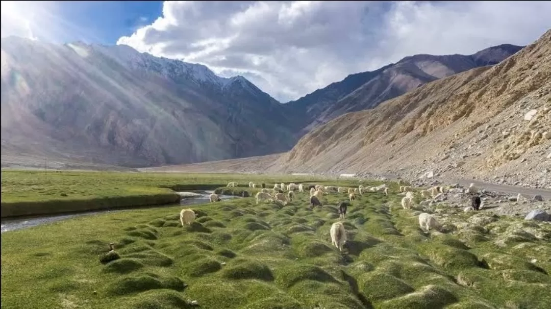 Photo of Nubra Valley By Rudra Pratap Sahu