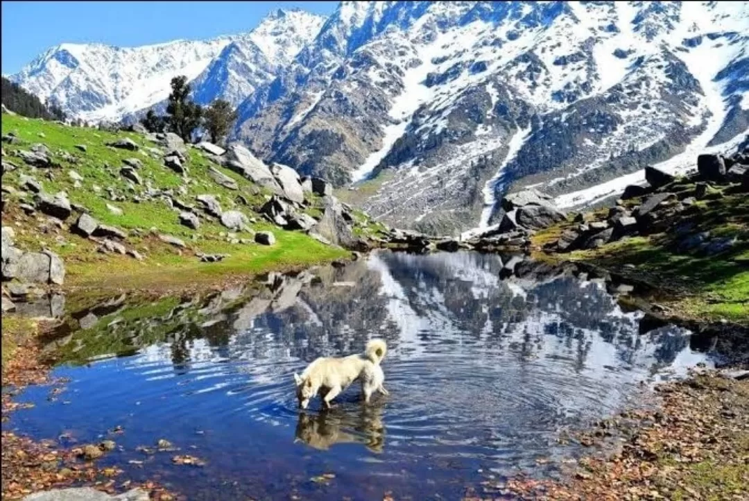 Photo of Dharamshala By Rudra Pratap Sahu