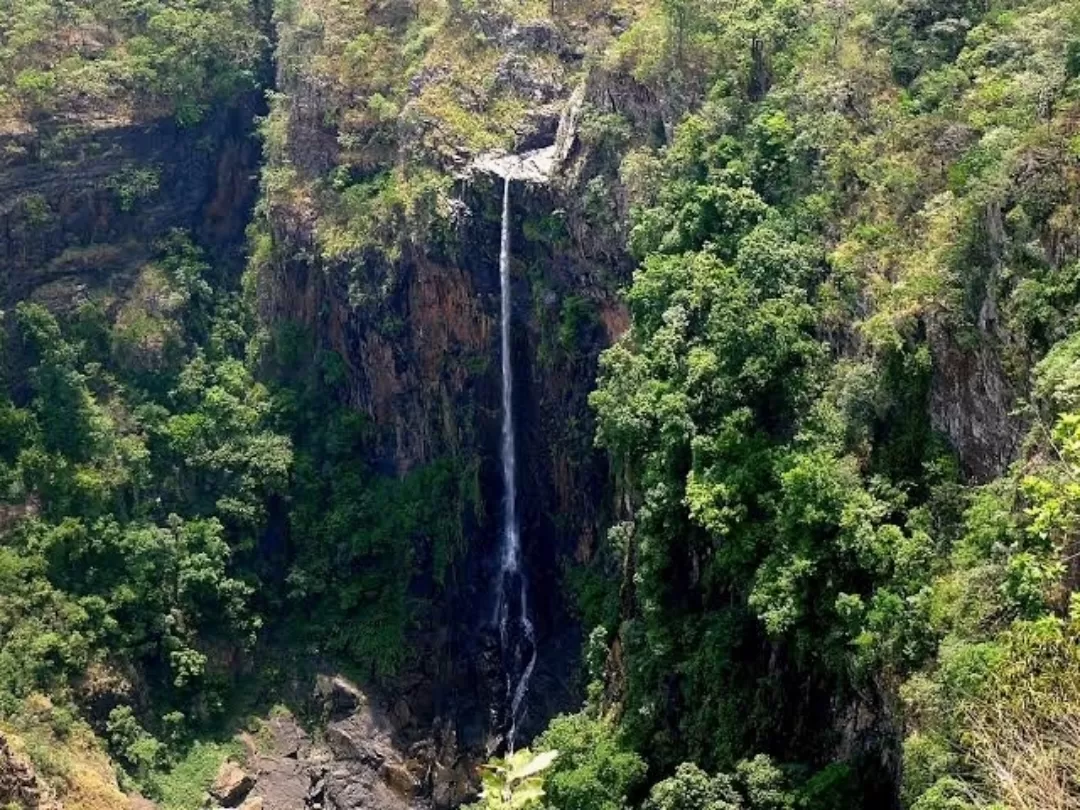 Photo of Similipal National Park By Rudra Pratap Sahu