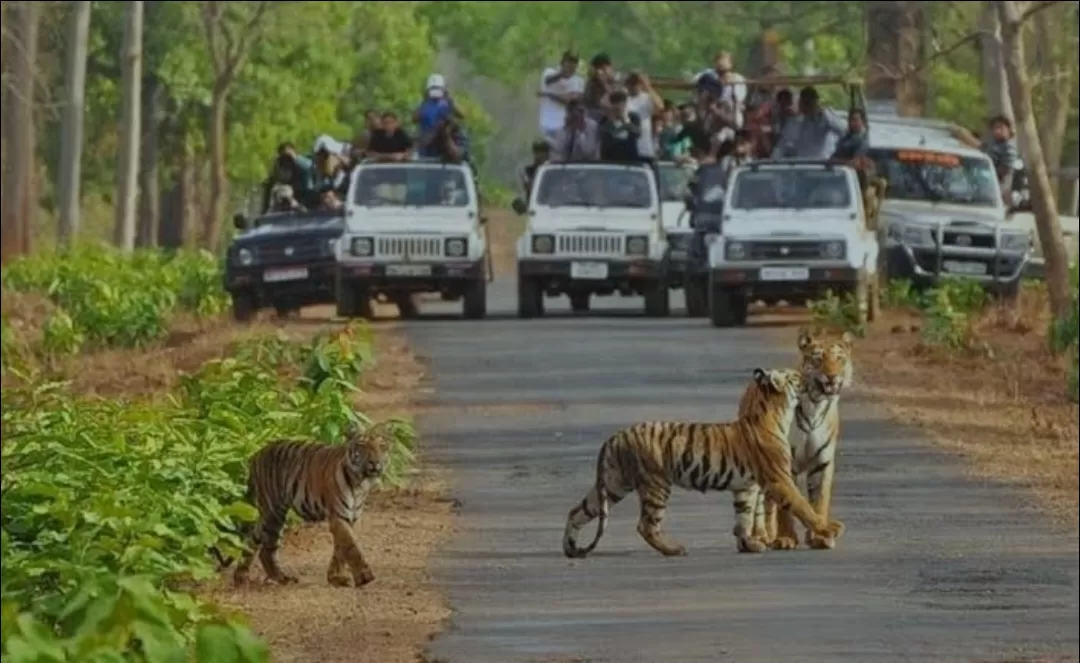 Photo of Similipal National Park By Rudra Pratap Sahu