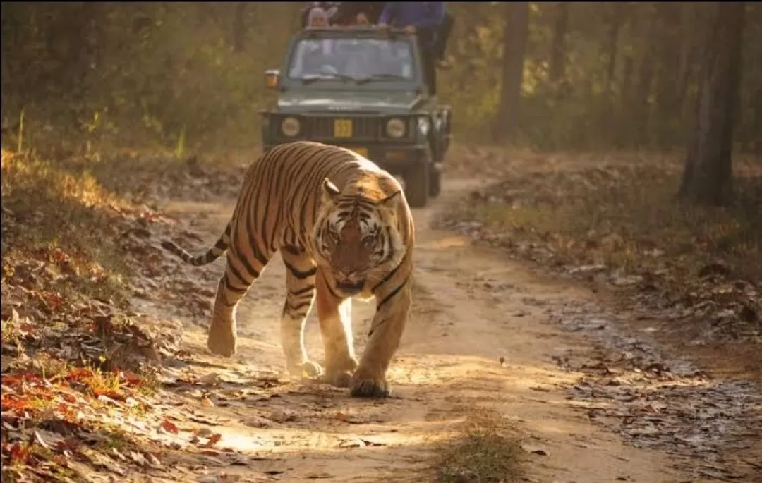 Photo of Similipal National Park By Rudra Pratap Sahu