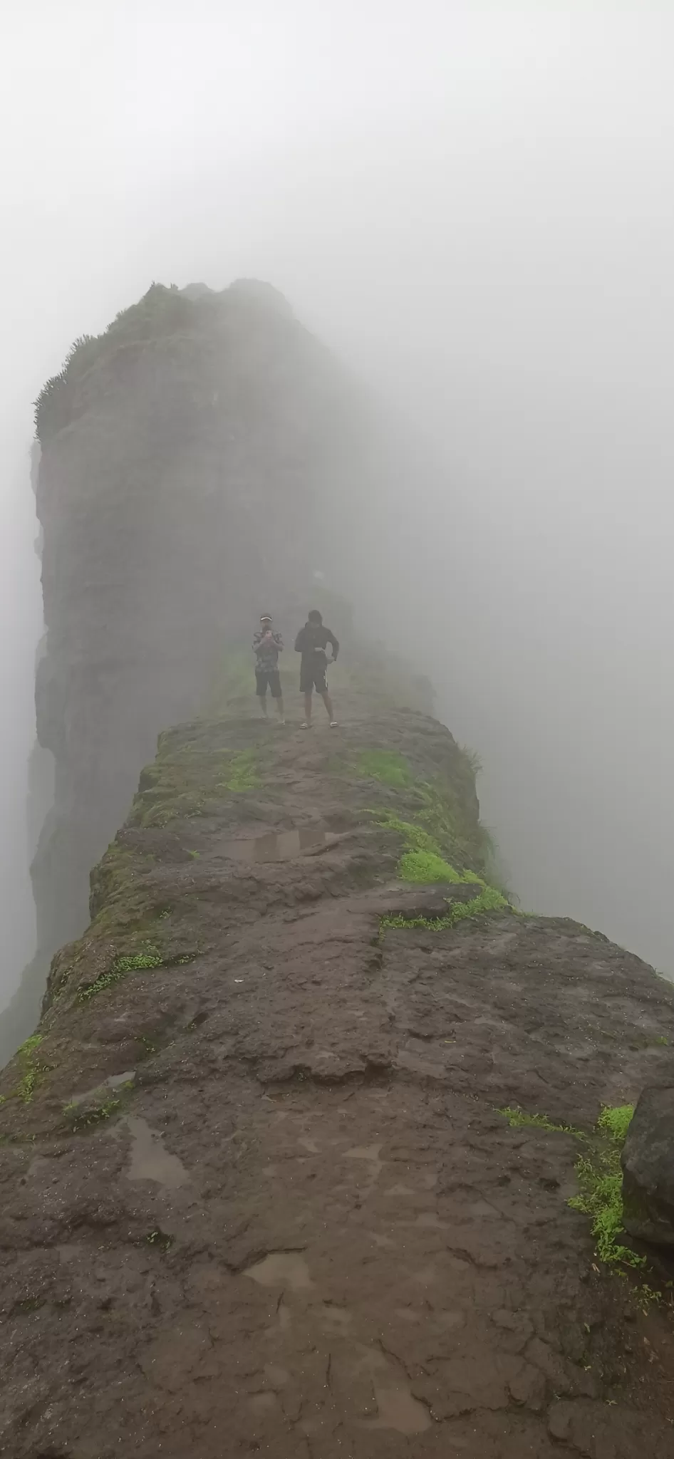 Photo of Brahmagiri By AnandaKrishna