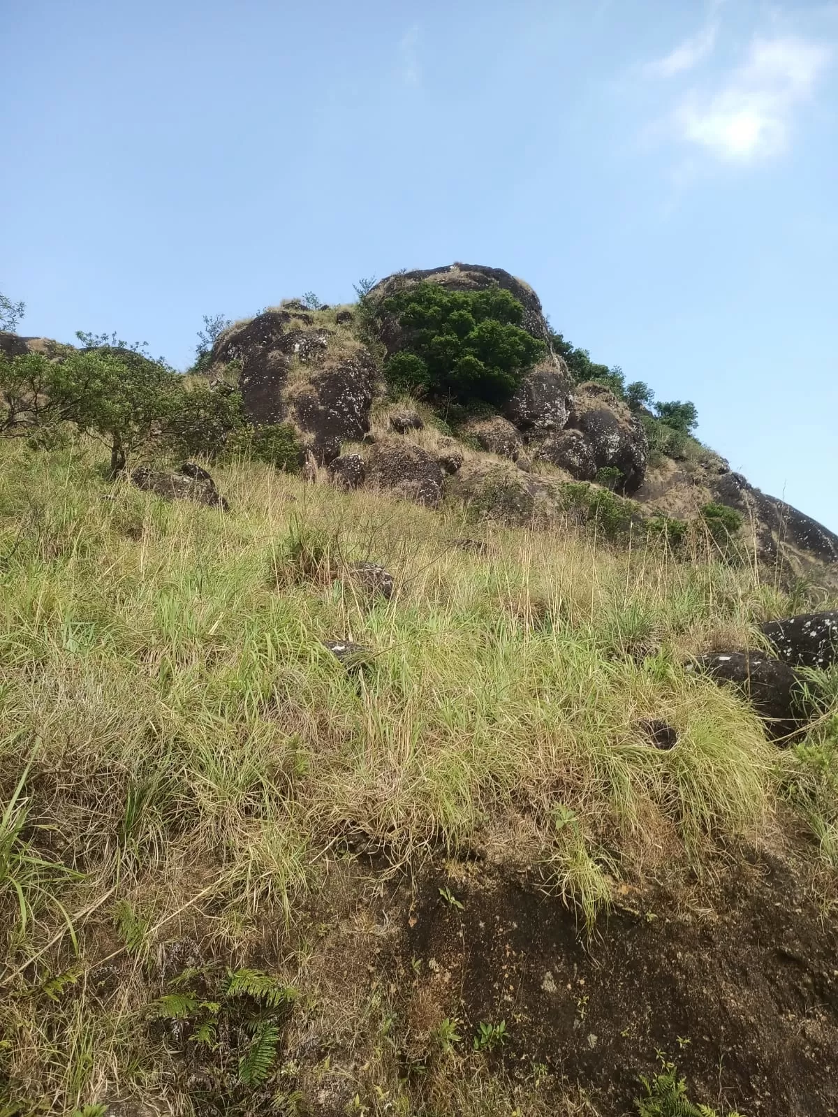 Photo of Urumbikkara top point By aarkumvendatavan